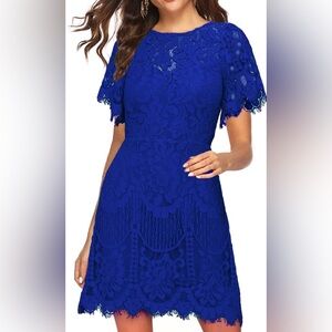 Royal blue lace dress. Chic and comfortable. Excellent condition